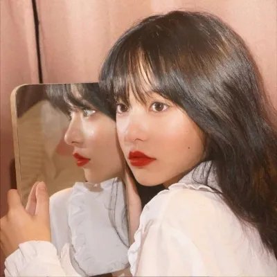 动物界